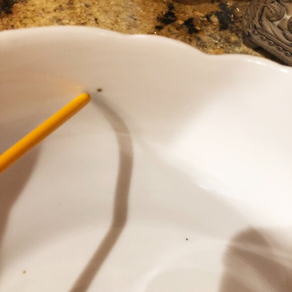 Antique R. & C. Iris Bavaria Porcelain Bowl - Picture 7 of 7